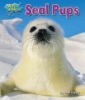 Seal_pups