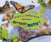 What_s_the_difference_between_a_butterfly_and_a_moth_
