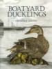 Boatyard_ducklings
