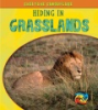 Hiding_in_grasslands