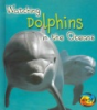 Watching_dolphins_in_the_oceans