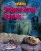 Shuttered_horror_hospitals