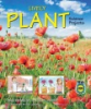 Lively_plant_science_projects
