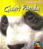 Giant_panda
