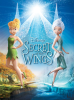 Secret_of_the_wings