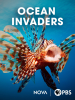 Ocean_Invaders