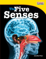 The_Five_Senses
