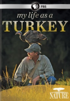 My_life_as_a_turkey