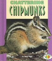 Chattering_chipmunks