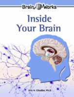 Inside_your_brain