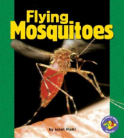 Flying_mosquitoes