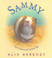 Sammy_the_classroom_guinea_pig
