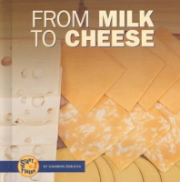 From_milk_to_cheese