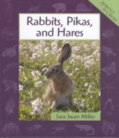 Rabbits__pikas__and_hares