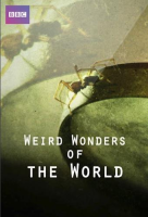 Weird_Wonders_of_the_World__Series_1