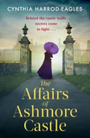 The_affairs_of_Ashmore_Castle