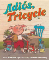 Adi__s__tricycle