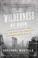 The_wilderness_of_ruin