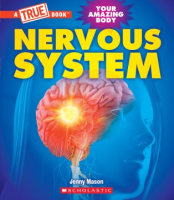 Nervous_system