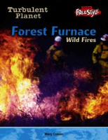 Forest_furnace