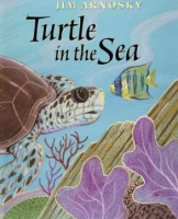 Turtle_in_the_sea