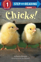 Chicks_
