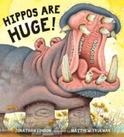Hippos_are_huge_