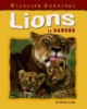 Lions_in_danger