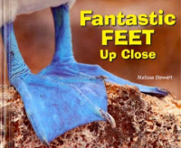 Fantastic_feet_up_close