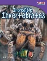 Incredible_Invertebrates