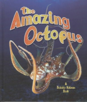 The_amazing_octopus