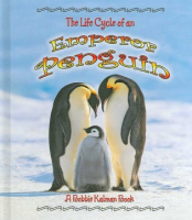 The_life_cycle_of_an_emperor_penguin
